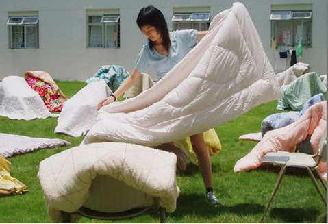 家庭害虫臭虫怎么消灭? 家庭害虫臭虫怎么消灭?
